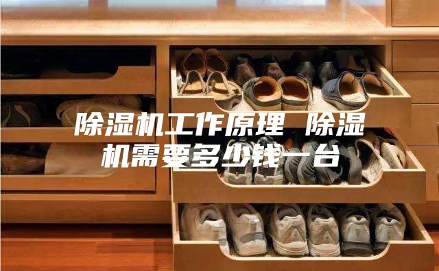 除濕機(jī)工作原理 除濕機(jī)需要多少錢一臺(tái)