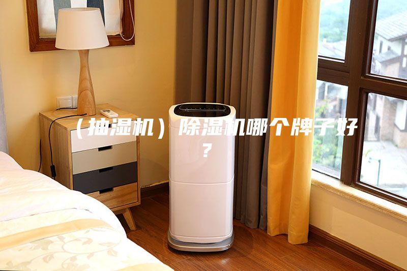 （抽濕機(jī)）除濕機(jī)哪個牌子好？