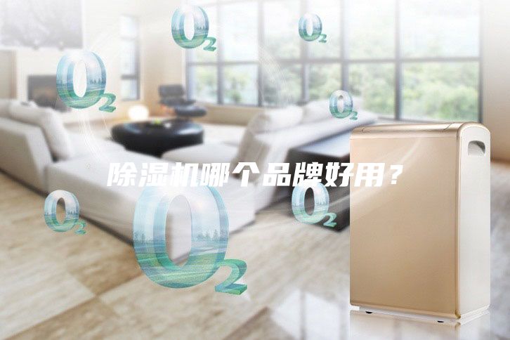 除濕機(jī)哪個(gè)品牌好用？