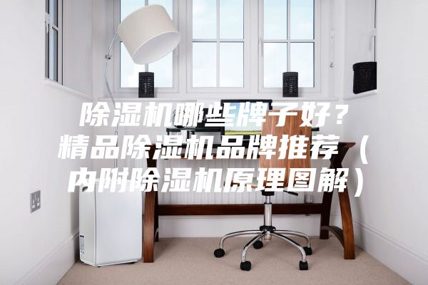 除濕機哪些牌子好？精品除濕機品牌推薦（內(nèi)附除濕機原理圖解）