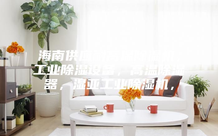 海南供應耐高溫除濕機，工業(yè)除濕設備，高溫除濕器，濕亞工業(yè)除濕機，