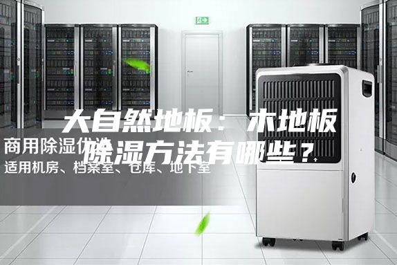 大自然地板：木地板除濕方法有哪些？