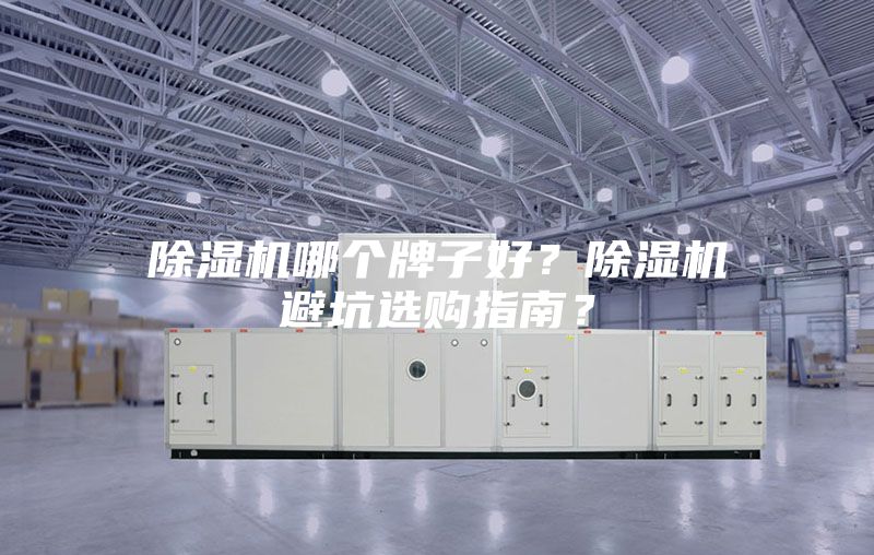 除濕機(jī)哪個牌子好？除濕機(jī)避坑選購指南？