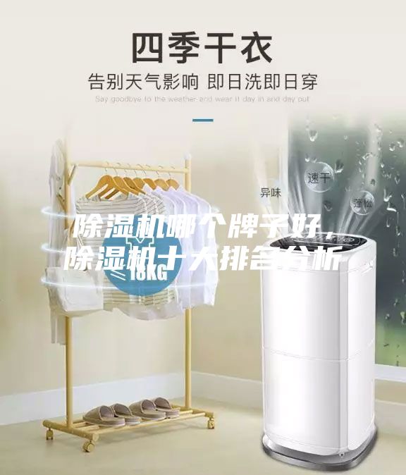 除濕機(jī)哪個牌子好，除濕機(jī)十大排名分析