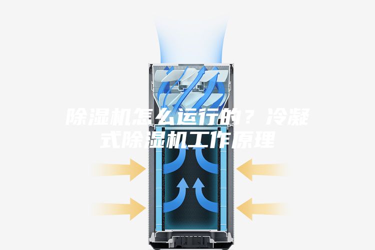 除濕機怎么運行的？冷凝式除濕機工作原理