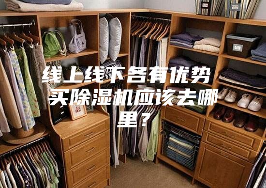 線上線下各有優(yōu)勢(shì) 買除濕機(jī)應(yīng)該去哪里？