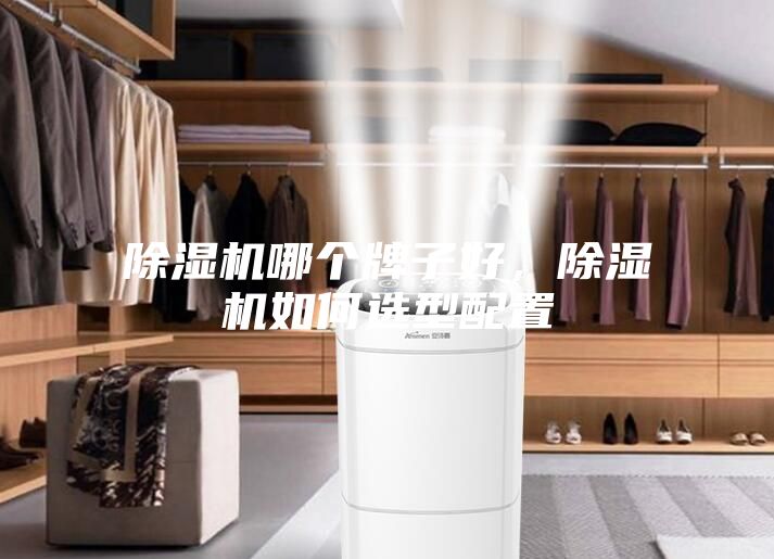 除濕機哪個牌子好，除濕機如何選型配置