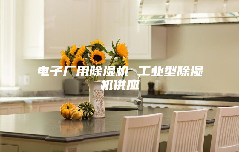 電子廠用除濕機 工業型除濕機供應