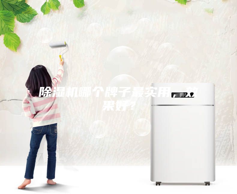 除濕機哪個牌子最實用，效果好？