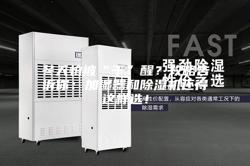 冬天怕被“干”醒？攻略告訴你：加濕器和除濕機還得這樣選！