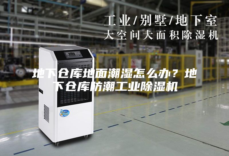 地下倉庫地面潮濕怎么辦？地下倉庫防潮工業除濕機