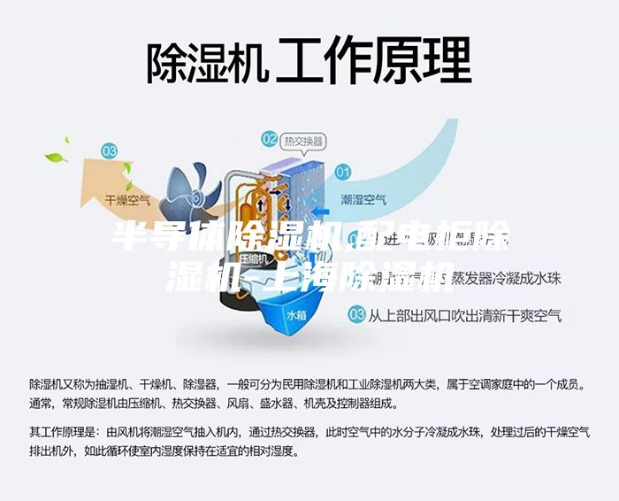 半導(dǎo)體除濕機,配電柜除濕機-上海除濕機