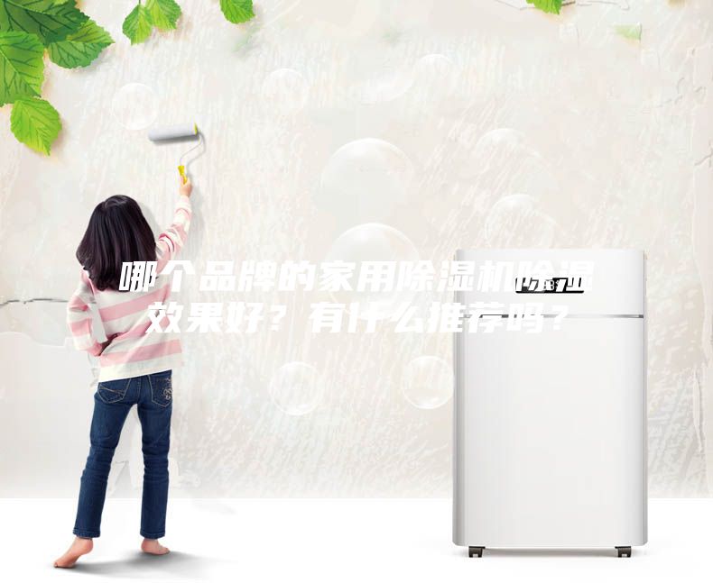 哪個品牌的家用除濕機除濕效果好？有什么推薦嗎？