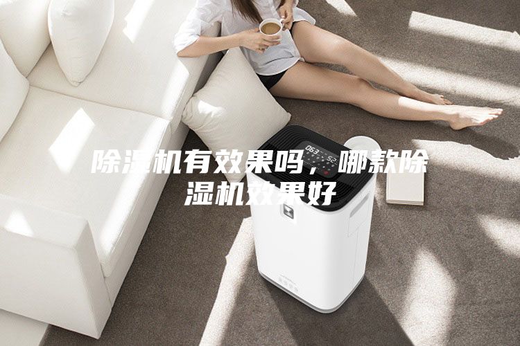 除濕機有效果嗎，哪款除濕機效果好