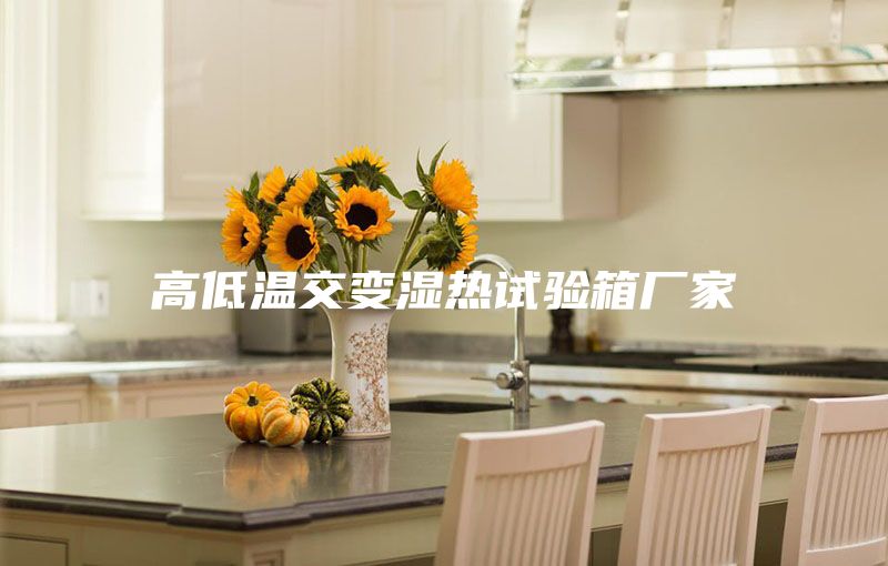 高低溫交變濕熱試驗箱廠家