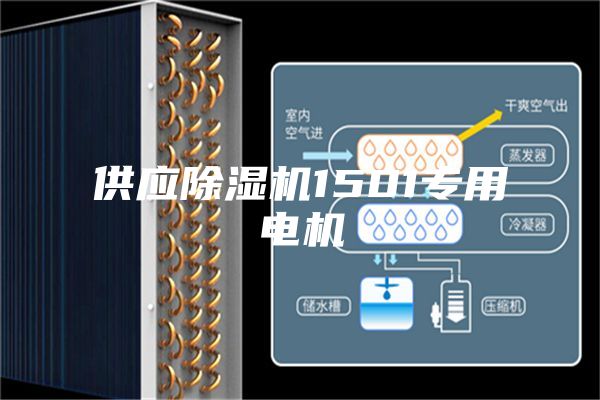 供應(yīng)除濕機1501專用電機