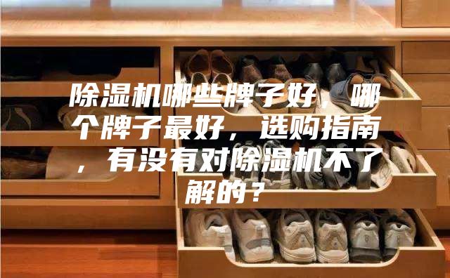 除濕機哪些牌子好，哪個牌子最好，選購指南，有沒有對除濕機不了解的？
