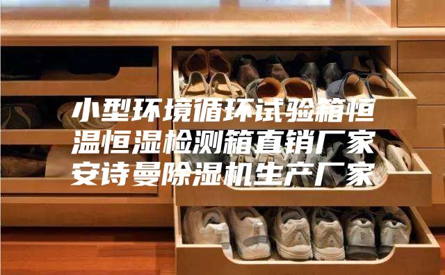 小型環(huán)境循環(huán)試驗(yàn)箱恒溫恒濕檢測(cè)箱直銷廠家安詩(shī)曼除濕機(jī)生產(chǎn)廠家