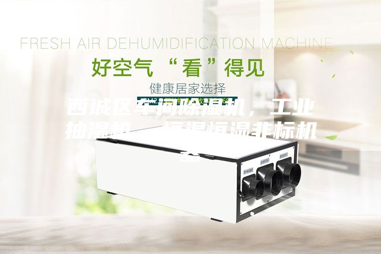 西城區車間除濕機，工業抽濕機  恒溫恒濕非標機器