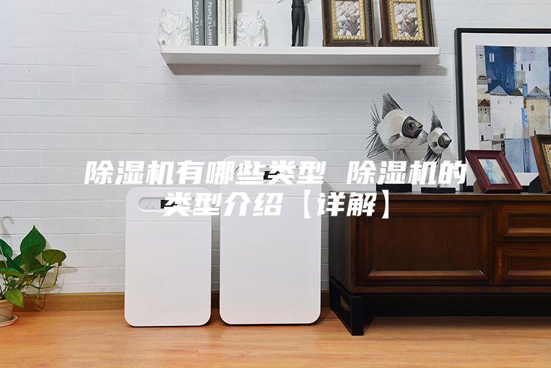 除濕機(jī)有哪些類(lèi)型 除濕機(jī)的類(lèi)型介紹【詳解】