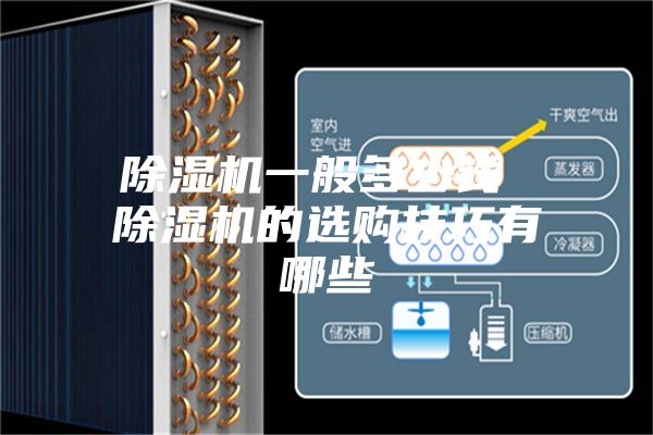 除濕機(jī)一般多少錢 除濕機(jī)的選購技巧有哪些