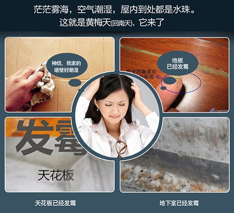 酒店、餐廳這么潮，誰還放心？除濕機用起來啊