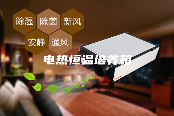 電熱恒溫培養箱