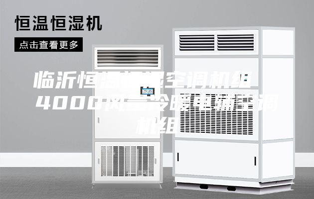 臨沂恒溫恒濕空調機組  4000風量冷暖電輔空調機組