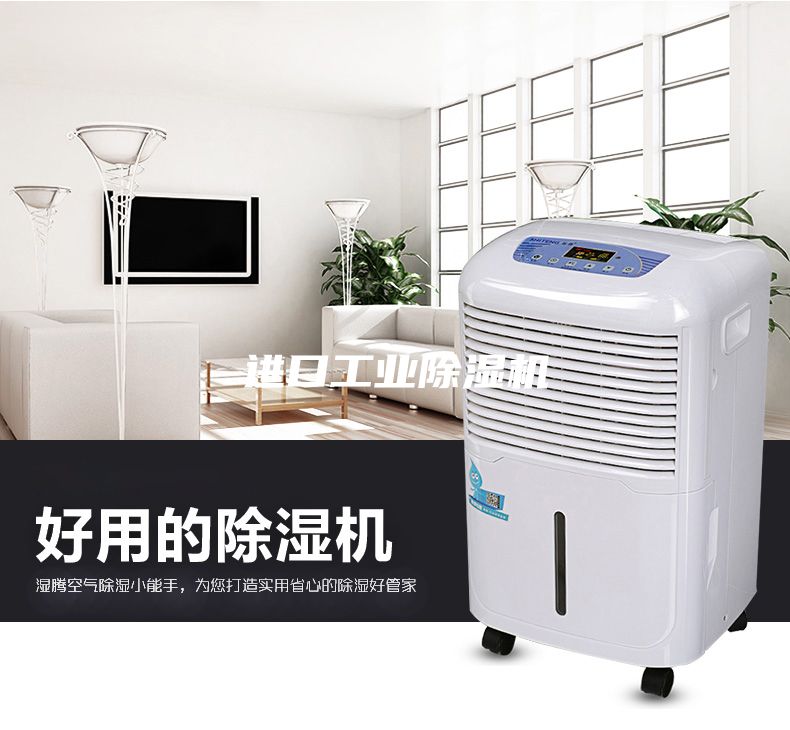 進口工業(yè)除濕機