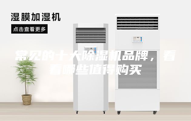 常見(jiàn)的十大除濕機(jī)品牌，看看哪些值得購(gòu)買