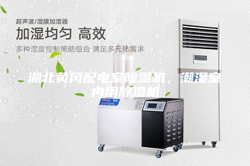 湖北黃岡配電室除濕機，潮濕室內用除濕機