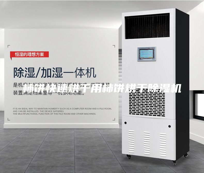柿餅快速烘干用柿餅烘干除濕機