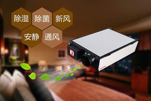 如何預防辦公室裝修后的防潮問題？