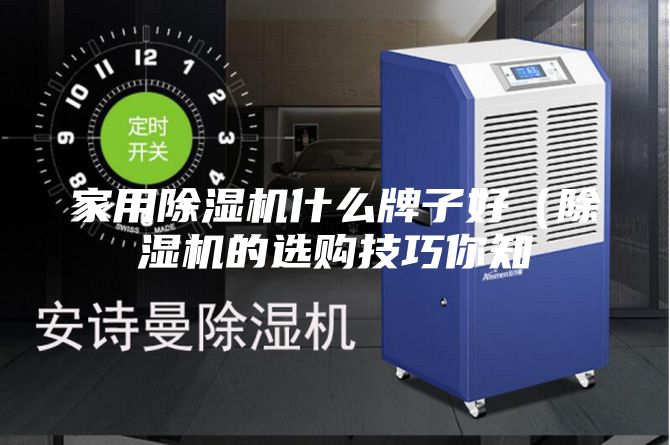 家用除濕機(jī)什么牌子好（除濕機(jī)的選購(gòu)技巧你知