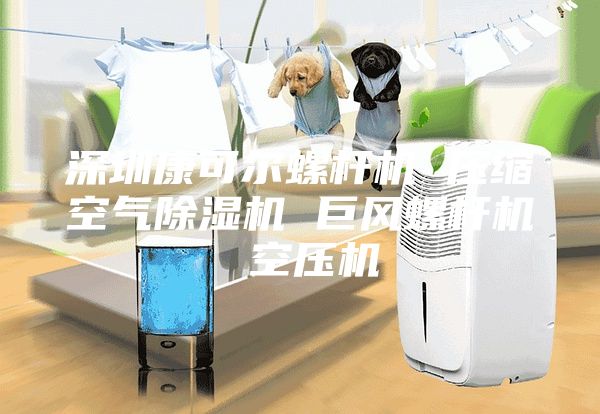 深圳康可爾螺桿機 壓縮空氣除濕機 巨風螺桿機 空壓機