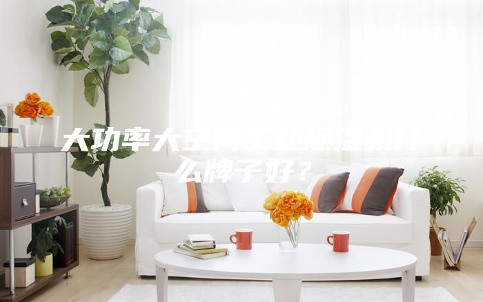 大功率大空間工業(yè)除濕機(jī)什么牌子好?