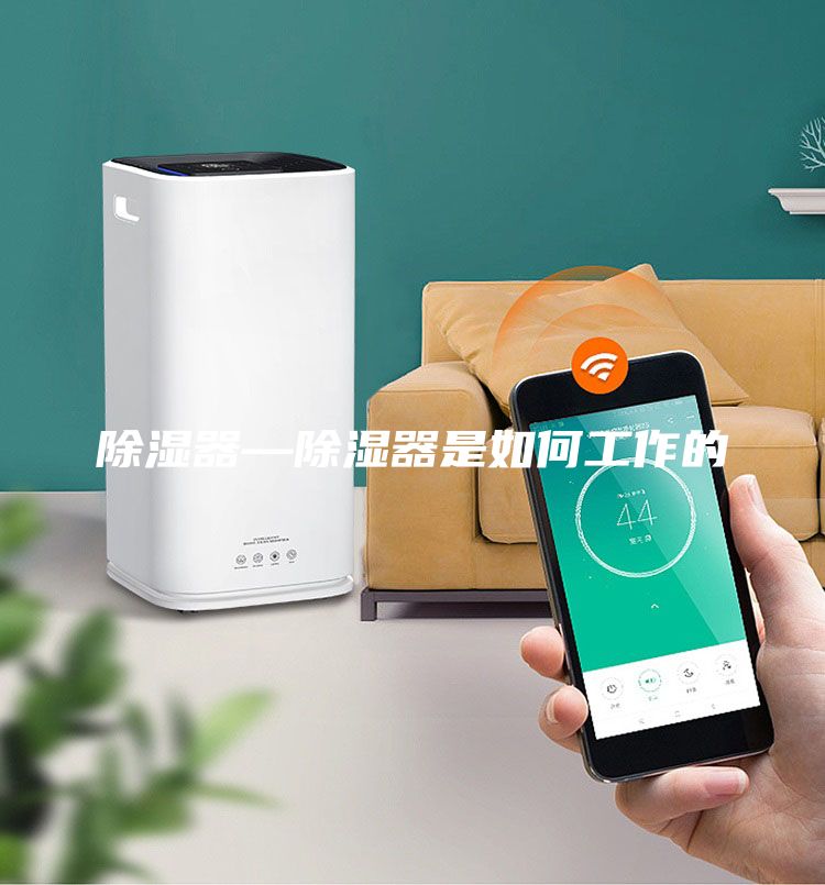 除濕器—除濕器是如何工作的