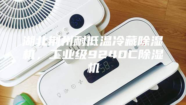 湖北荊州耐低溫冷藏除濕機，工業級9240C除濕機