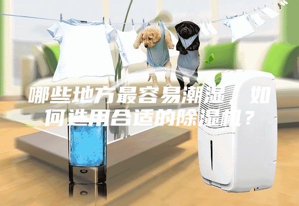 哪些地方最容易潮濕，如何選用合適的除濕機(jī)？