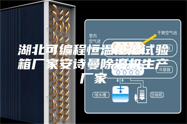 湖北可編程恒溫恒濕試驗(yàn)箱廠家安詩曼除濕機(jī)生產(chǎn)廠家