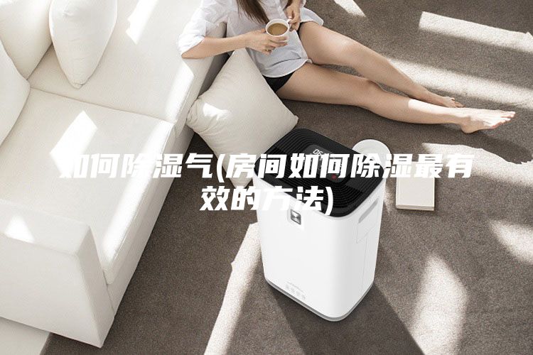 如何除濕氣(房間如何除濕最有效的方法)