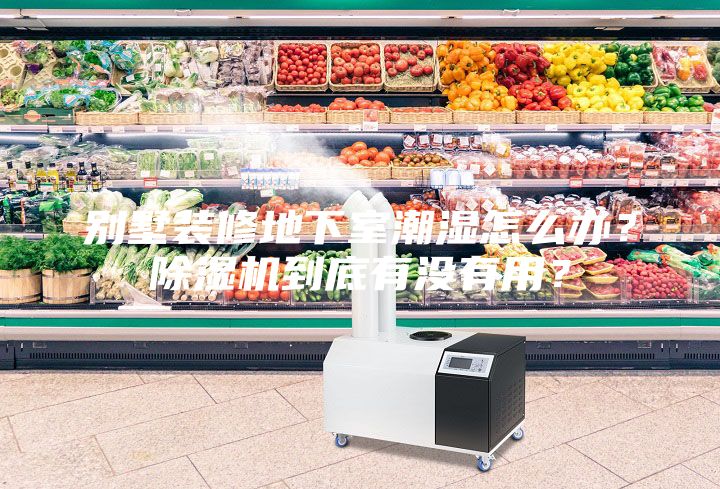 別墅裝修地下室潮濕怎么辦？除濕機(jī)到底有沒有用？