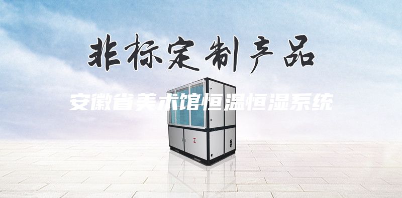 安徽省美術(shù)館恒溫恒濕系統(tǒng)