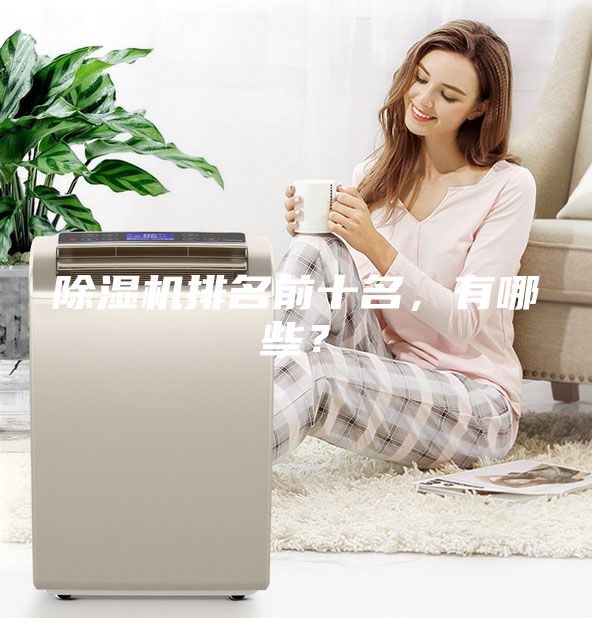 除濕機排名前十名，有哪些？