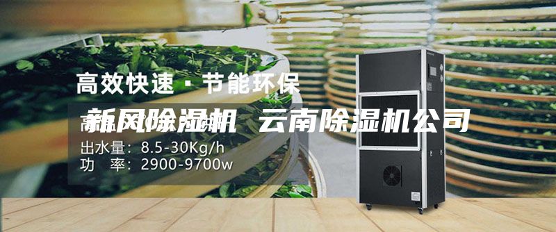新風除濕機 云南除濕機公司
