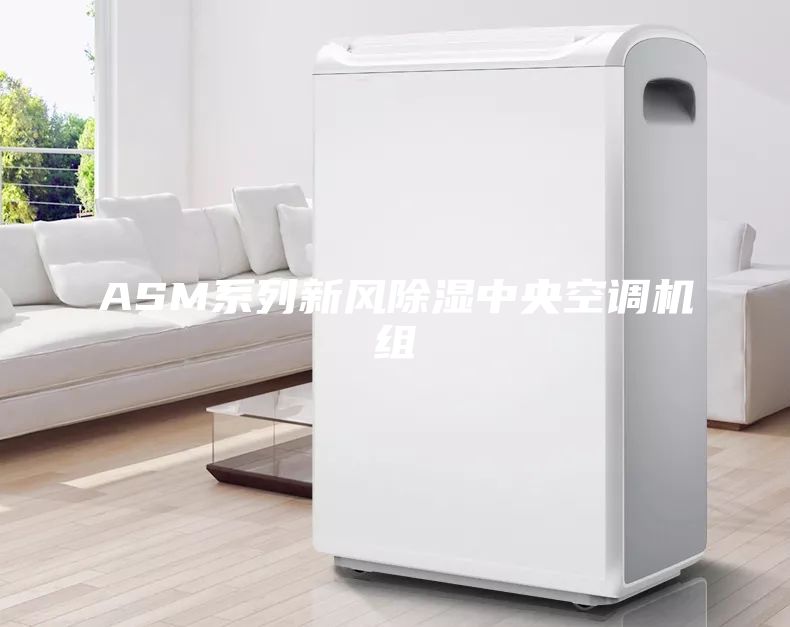 ASM系列新風除濕中央空調機組