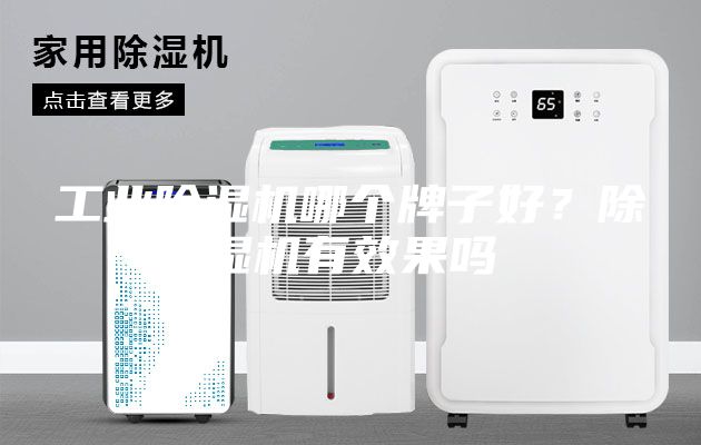 工業(yè)除濕機(jī)哪個牌子好？除濕機(jī)有效果嗎