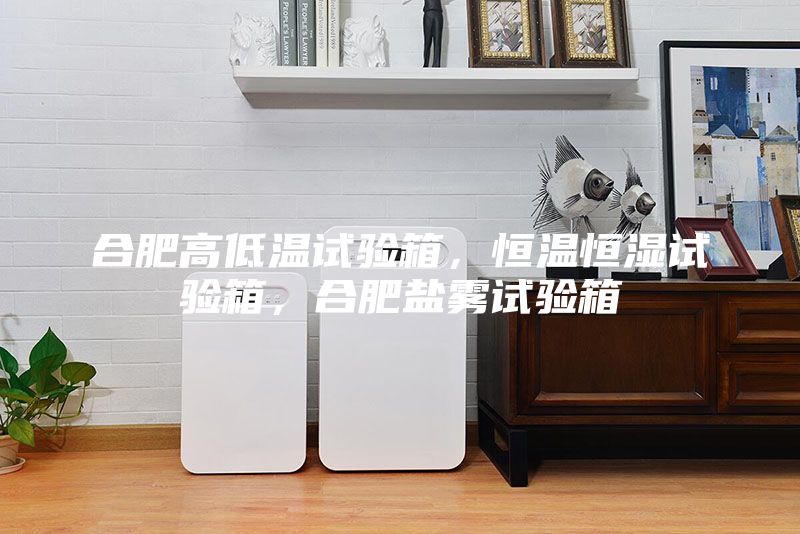 合肥高低溫試驗(yàn)箱，恒溫恒濕試驗(yàn)箱，合肥鹽霧試驗(yàn)箱