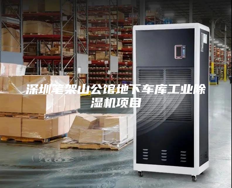 深圳筆架山公館地下車庫工業(yè)除濕機(jī)項(xiàng)目