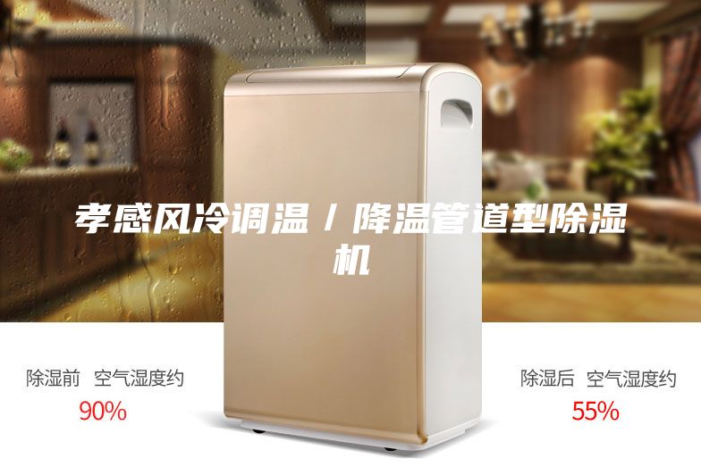 孝感風(fēng)冷調(diào)溫／降溫管道型除濕機(jī)